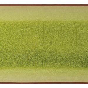 Soho Verdi Rectangular Plate 12x5.5" (x6)