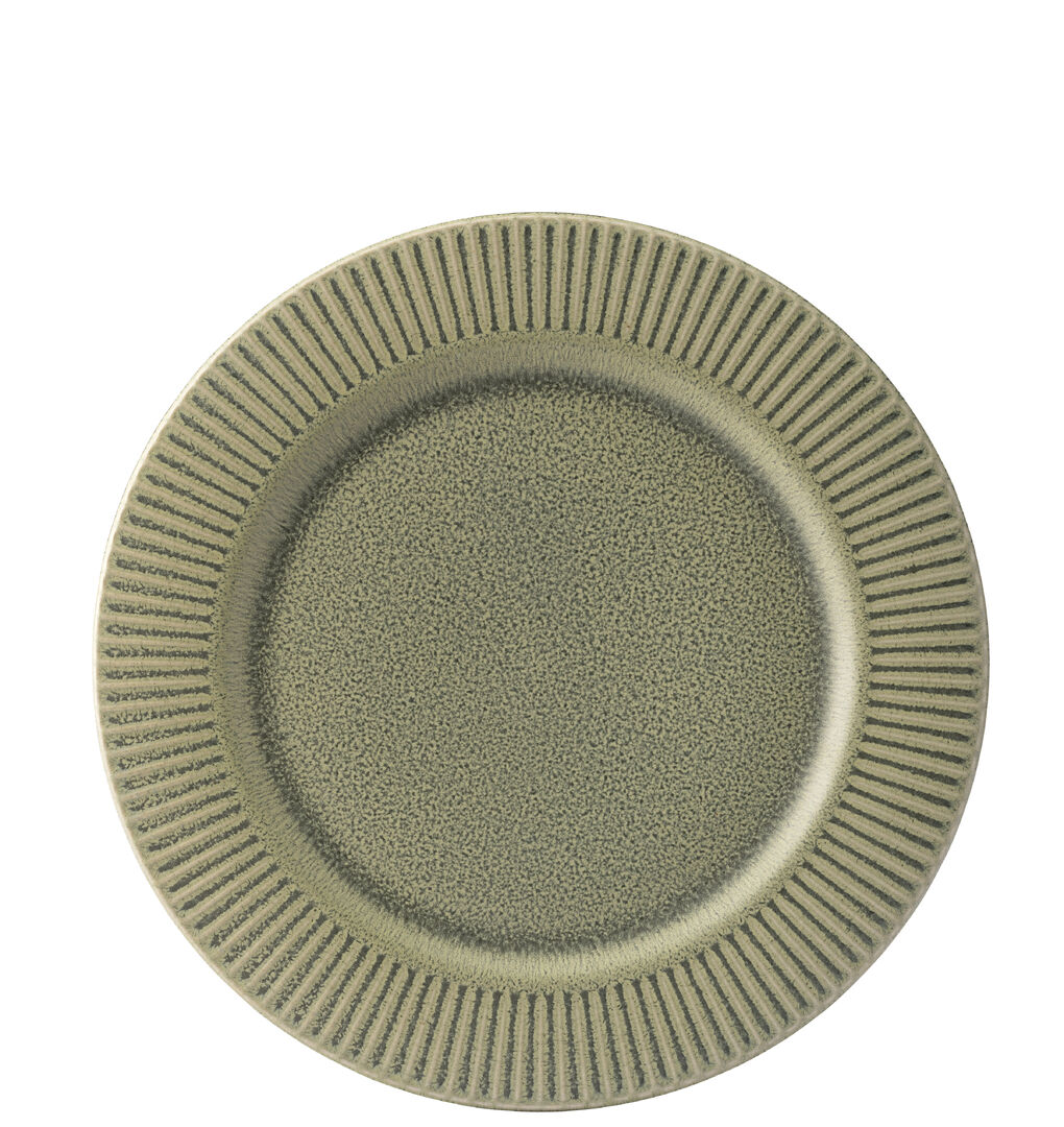 Corduroy Fern Plate 9.75" (24.5cm) (x6)