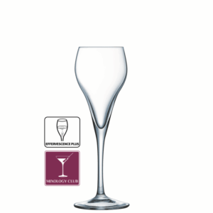 Brio Flute 3.25oz/9.5cl (x24)