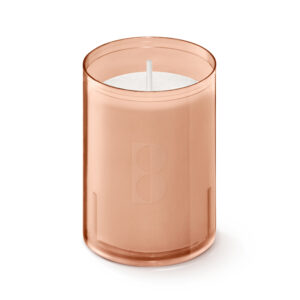 ReLight® Refills Pink Salmon (x80)